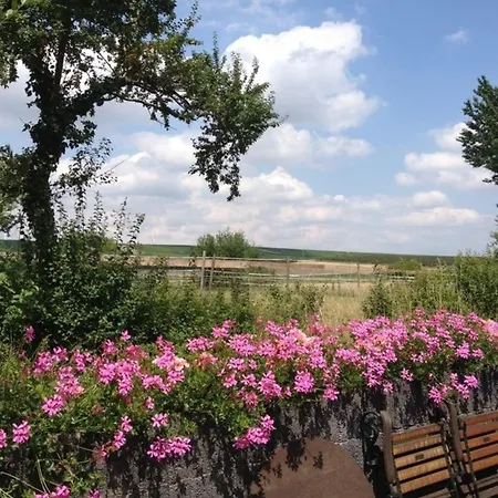 Lägenhet Secra Exclusive Maisonette-ferienzimmer Am Backhausgarten Flonheim