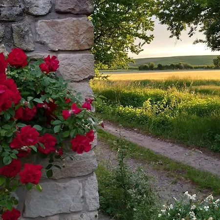 Secra Exclusive Maisonette-ferienzimmer Am Backhausgarten Appartamento Flonheim