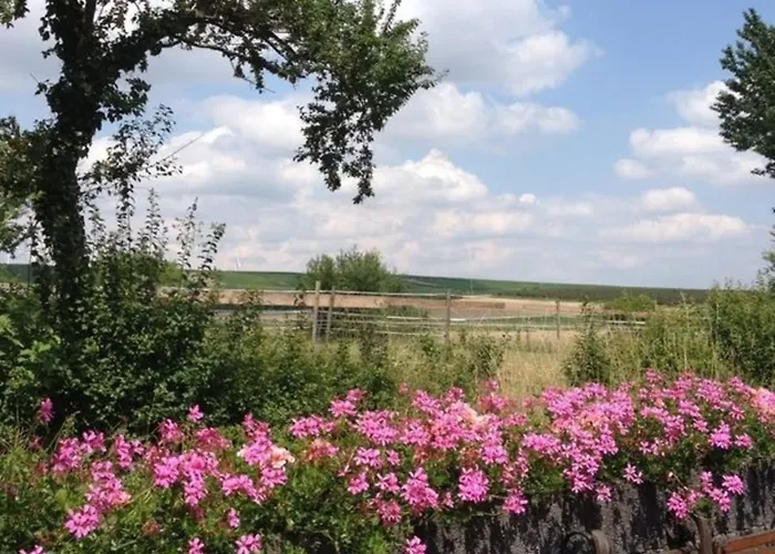 דירה Secra Exclusive Maisonette-ferienzimmer Am Backhausgarten פלונהיים